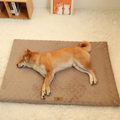 Cama Ortopédica