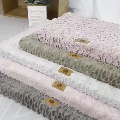 Cama Ortopédica